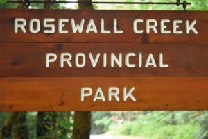 August 2017 Field Trip @ Rosewall Creek Provincial Park | Fanny Bay | British Columbia | Canada