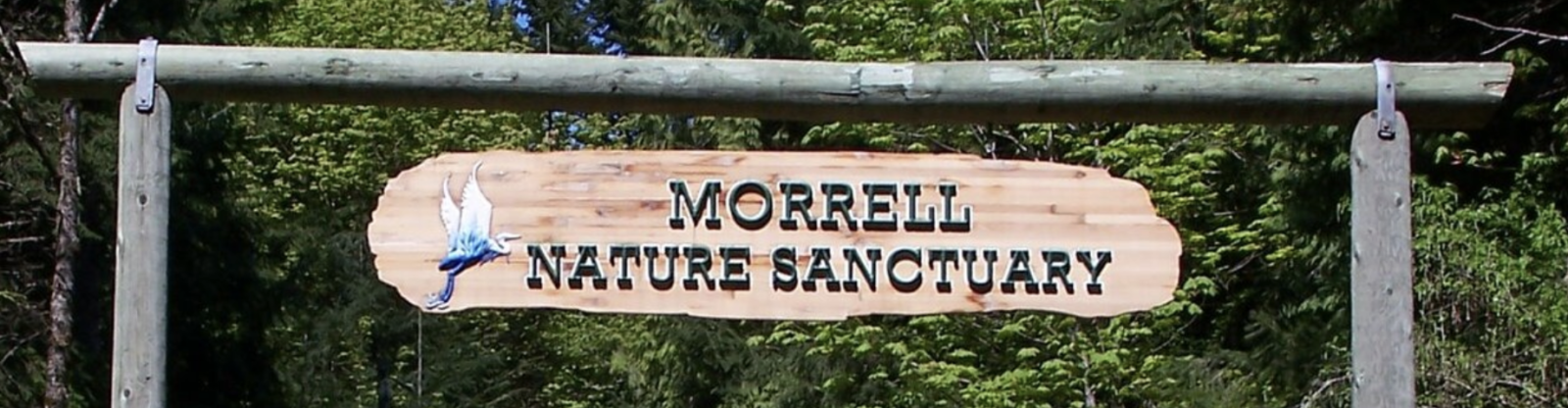 March Field Trip to Morrell Nature Sanctuary @ Morrell Nature Sanctuary