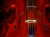 Judge’s favourite – David – “The Burning Violin” by Judy Hancock Holland.